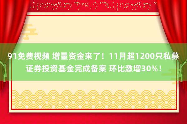 91免费视频 增量资金来了！11月超1200只私募证券投资基金完成备案 环比激增30%！